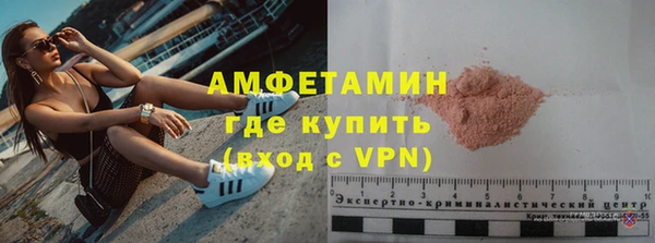 ПСИЛОЦИБИНОВЫЕ ГРИБЫ Дмитриев