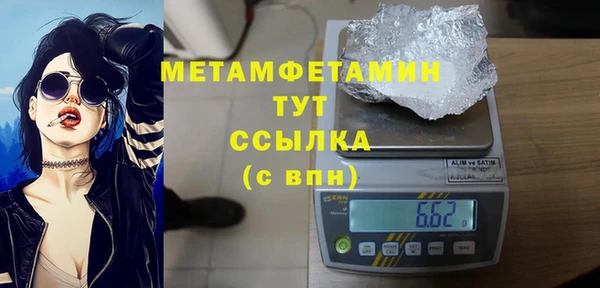 ПСИЛОЦИБИНОВЫЕ ГРИБЫ Дмитриев