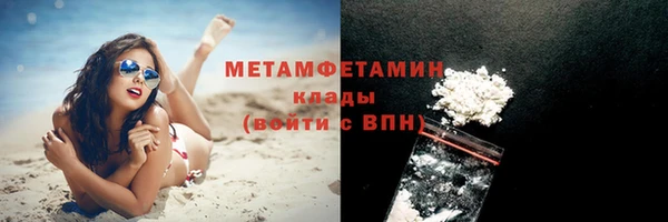 ПСИЛОЦИБИНОВЫЕ ГРИБЫ Дмитриев