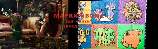 ПСИЛОЦИБИНОВЫЕ ГРИБЫ Дмитриев